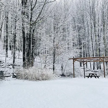 Cozy Cottage With Jacuzzi And Fire Pit And Reading Nook! Livingston Manor Exterior photo