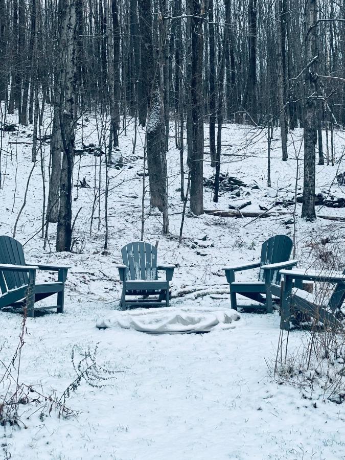 Cozy With Jacuzzi And Fire Pit And Reading Nook! * Livingston Manor
